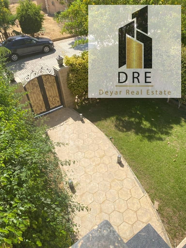 24 ea25310c-e2bf-4005-8ea3-ce26044bded3. jpg