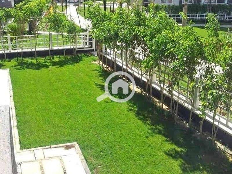 9 358099285_248657227906088_643994999340829309_n. jpg