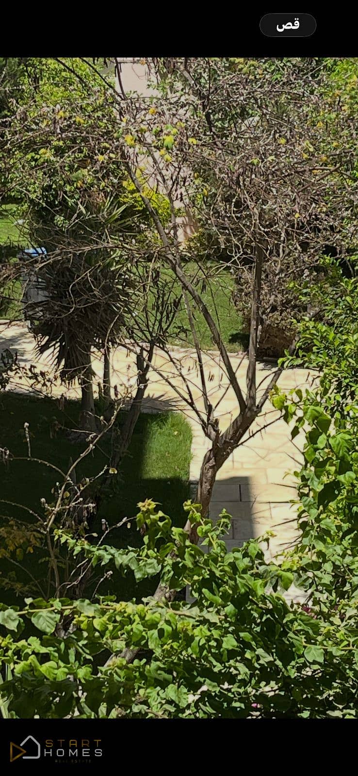 4 WhatsApp Image 2025-12-24 at 2.41. 11 PM (1). jpeg