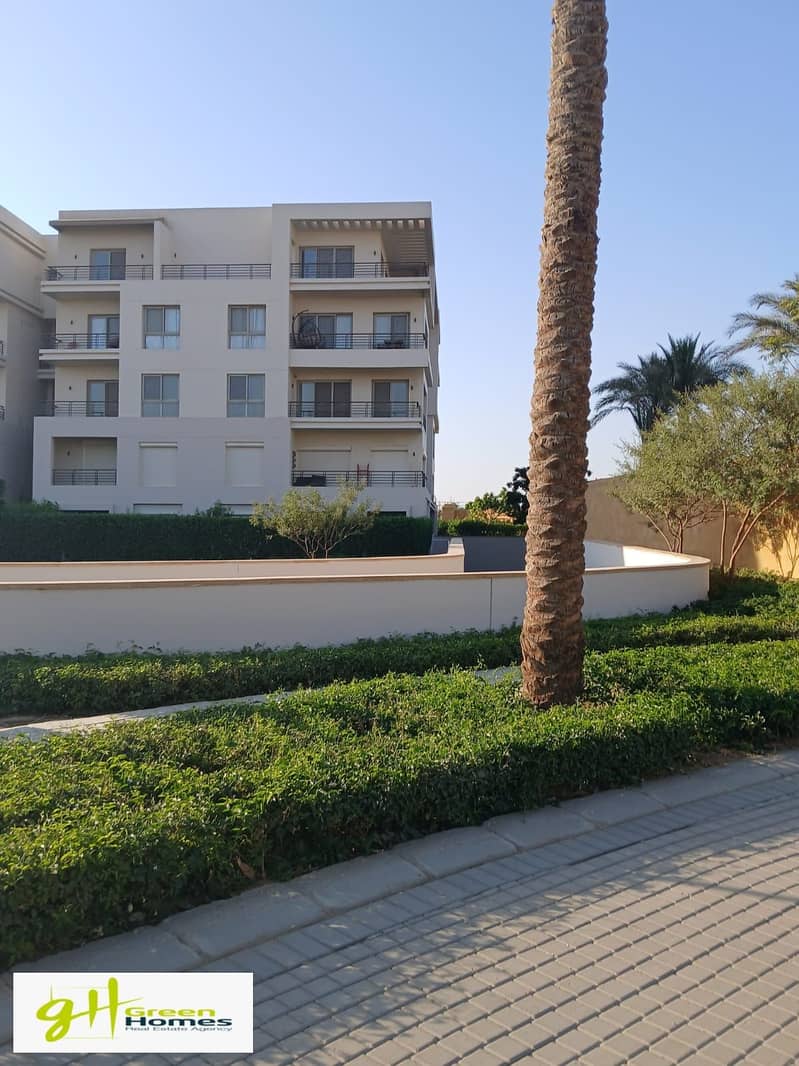 5 WhatsApp Image 2025-10-27 at 13.14. 32 (3). jpeg