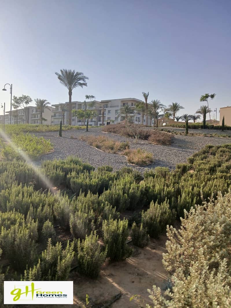 10 WhatsApp Image 2025-10-27 at 13.14. 34 (3). jpeg