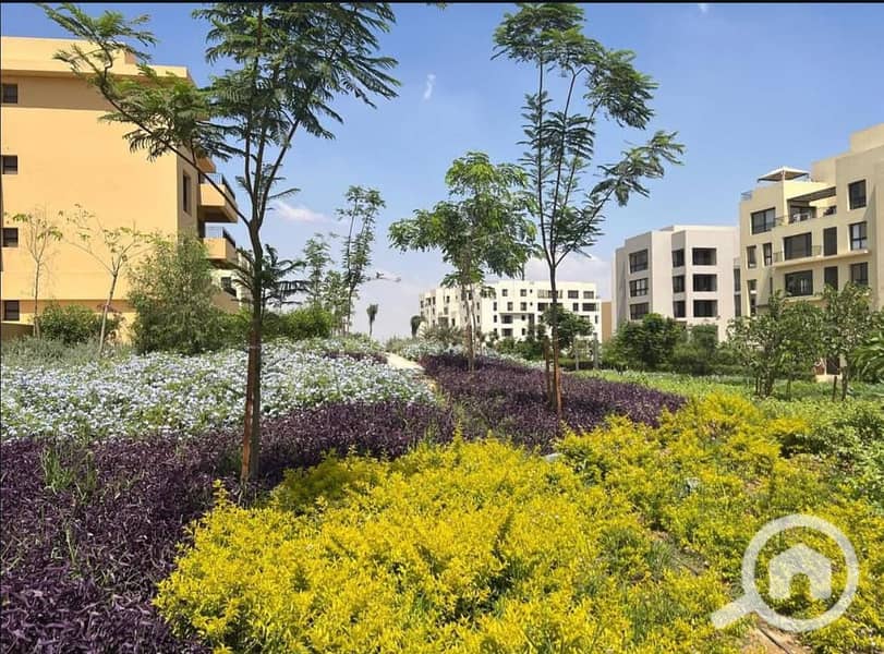 7 577985388_122193860864481620_7465795226792743716_n. jpg