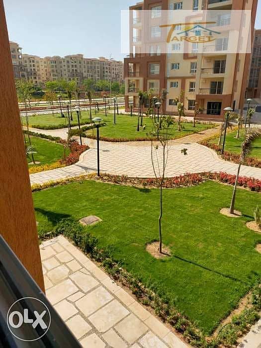 6 6612767-600x450. jpeg