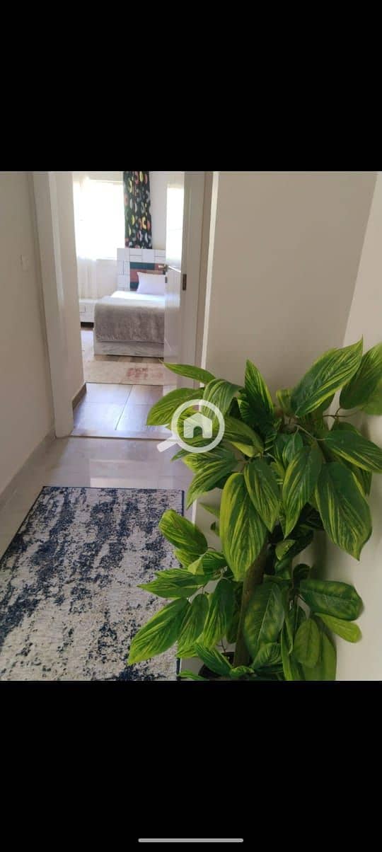 3 WhatsApp Image 2025-12-24 at 4.26. 32 PM (1). jpeg