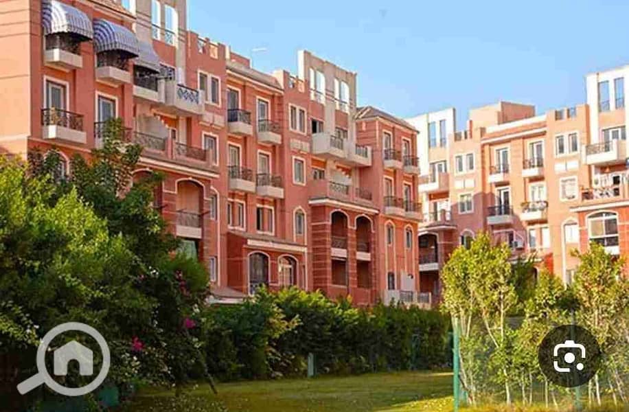 2 Screenshot_20251224_160206. jpg