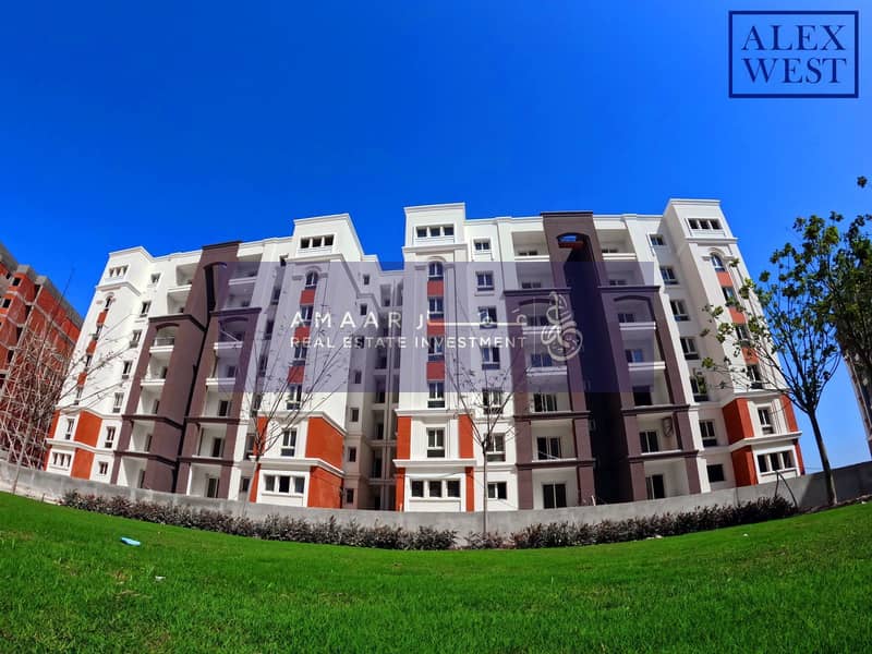 4 WhatsApp Image 2025-12-24 at 16.41. 57 (1). jpeg