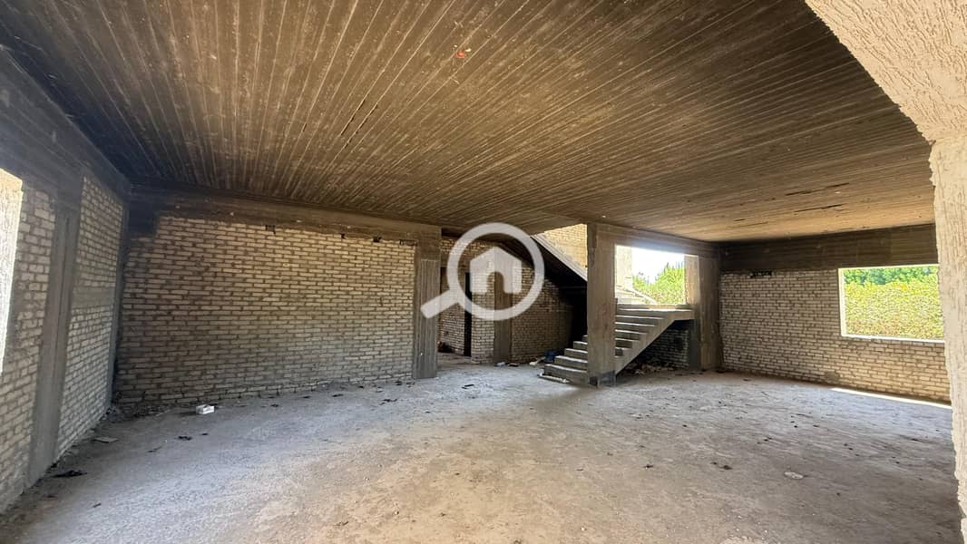 6 20e2455a-3a6f-43c0-970c-cc29c936a730. jpeg