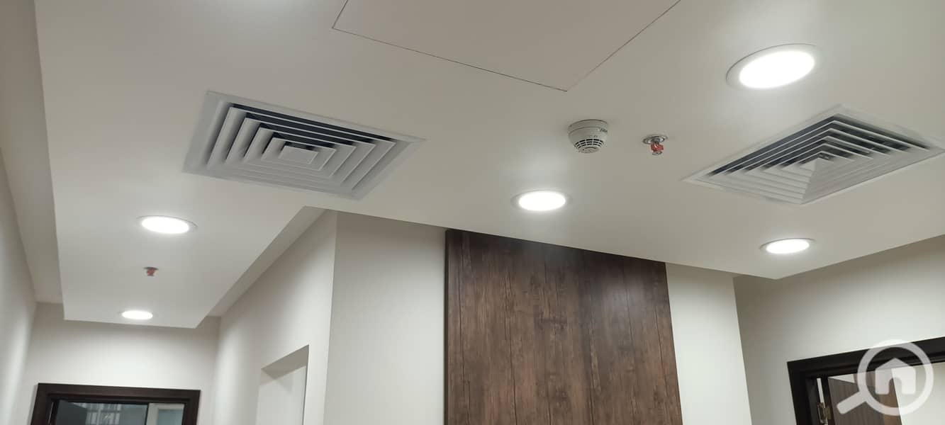 7 IMG20240428191904. jpg