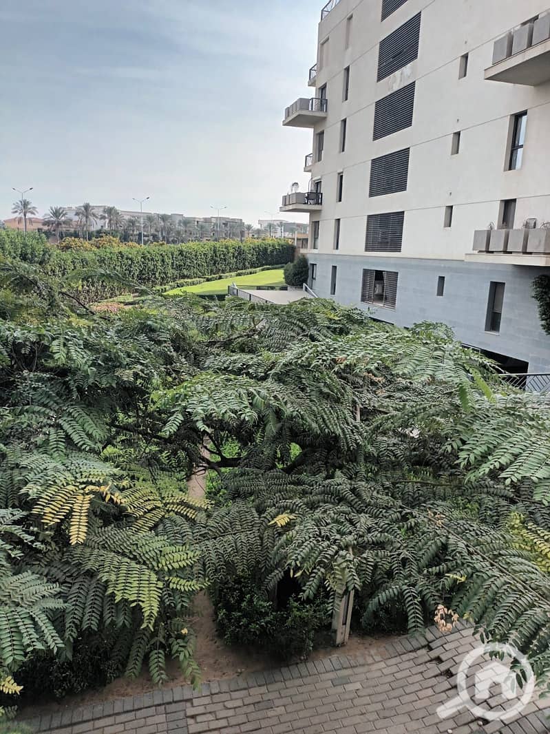 17 IMG-20251224-WA0010. jpg