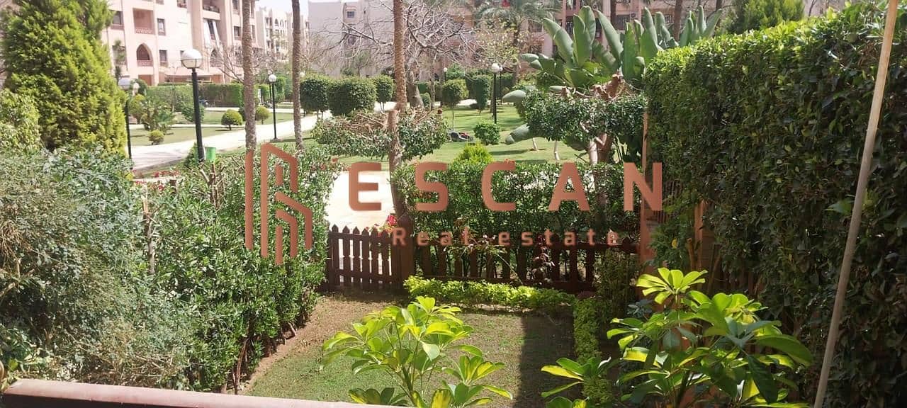 7 IMG-20250224-WA0279. jpg