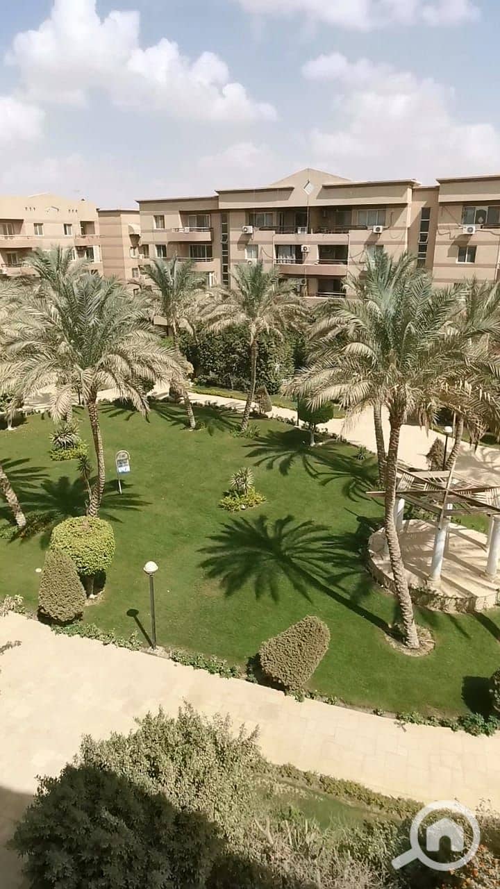 3 0c950ca7-853a-4365-8364-84fafcfd7e7d. jpeg