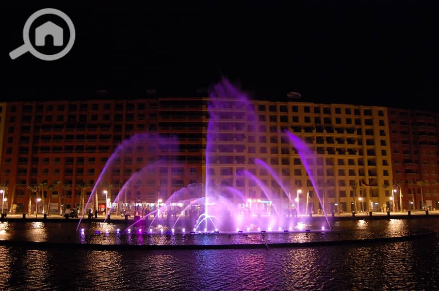 11 eef0e206-66f1-44b7-8991-638170c0fa4f. jpeg