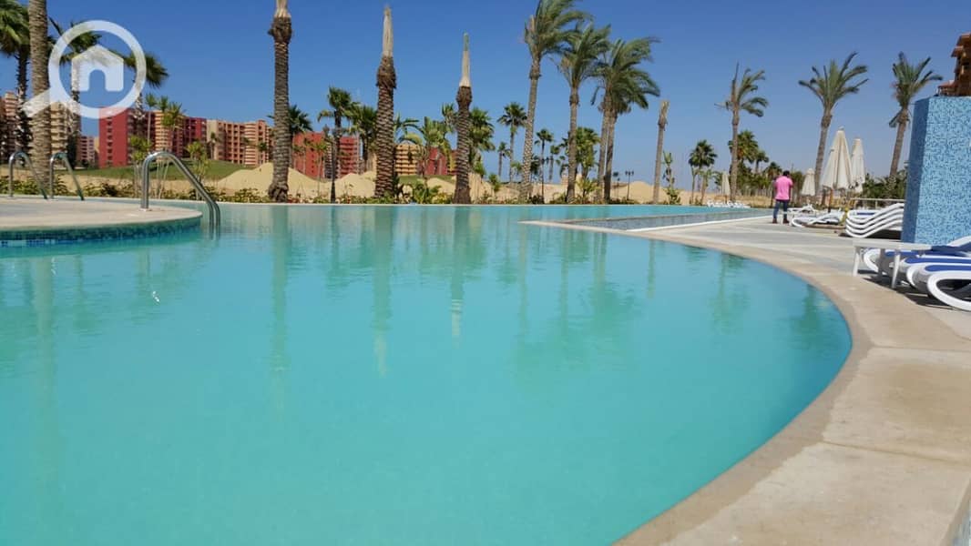 35 7e1975eb-0e20-4c06-90e9-4bebe1516c05. jpeg