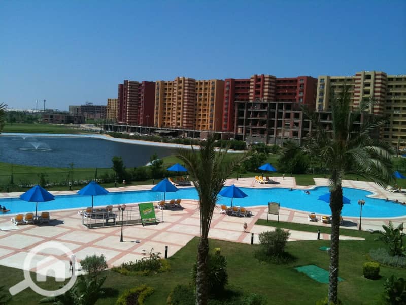 13 2647c72a-202b-4cb9-a720-10ab2e1aa918. jpeg