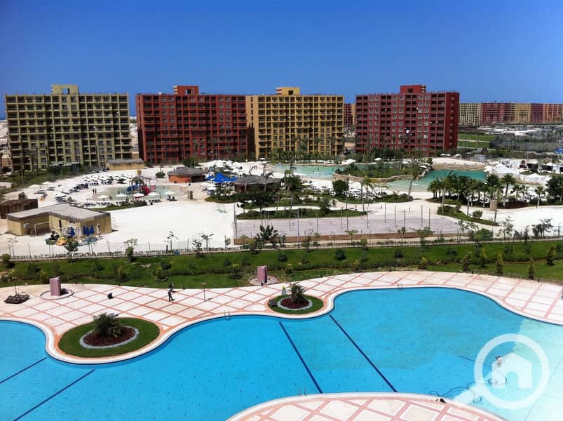 14 499beb73-a227-4a60-b458-196ec53410fc. jpeg