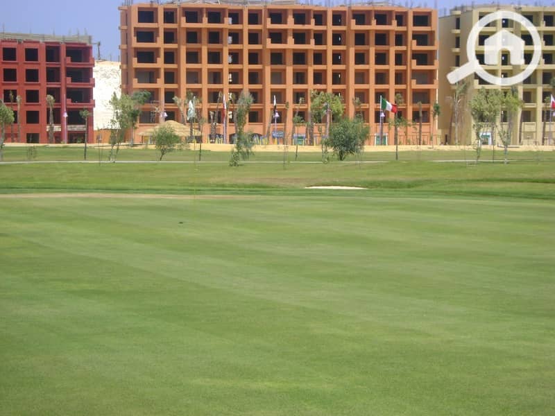 21 617713ae-e0d6-490e-9469-28bd1e8e0a22. jpeg