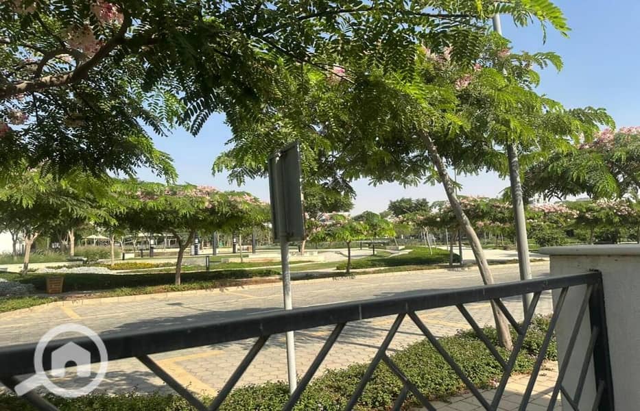 14 IMG-20251119-WA0175. jpg