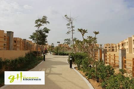 4 Bedroom Villa for Sale in New Cairo, Cairo - WhatsApp Image 2025-12-24 at 11.06. 33 (1). jpeg