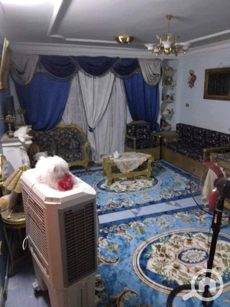 3 WhatsApp Image 2025-12-24 at 5.31. 30 PM. jpeg