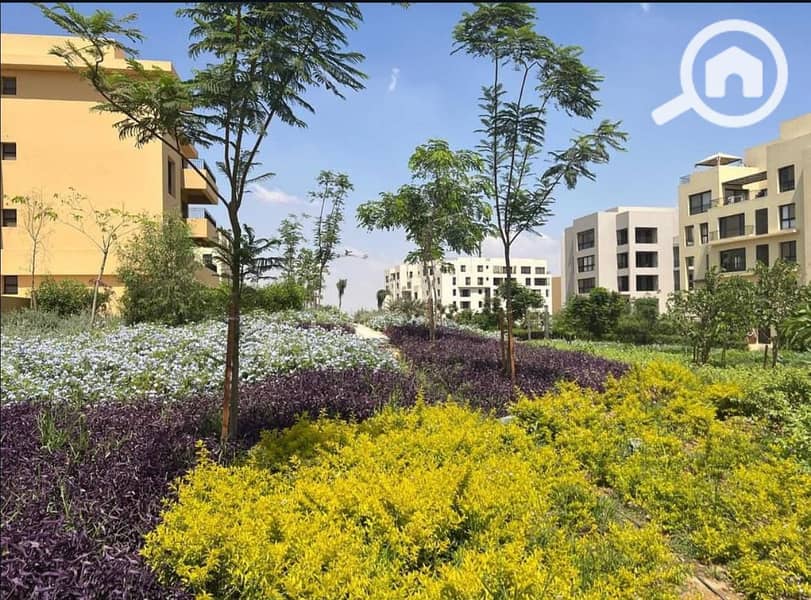 6 577985388_122193860864481620_7465795226792743716_n. jpg