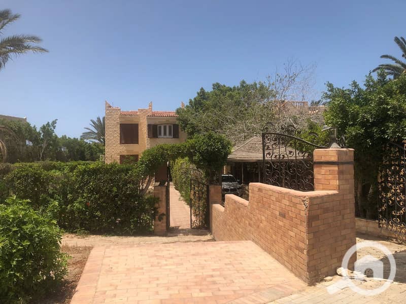 11 d58434e3-959b-4987-b2bb-c5d3588f369c. jpeg