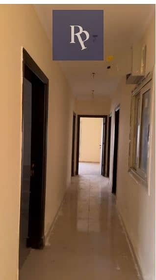 3 55555555555555. JPG