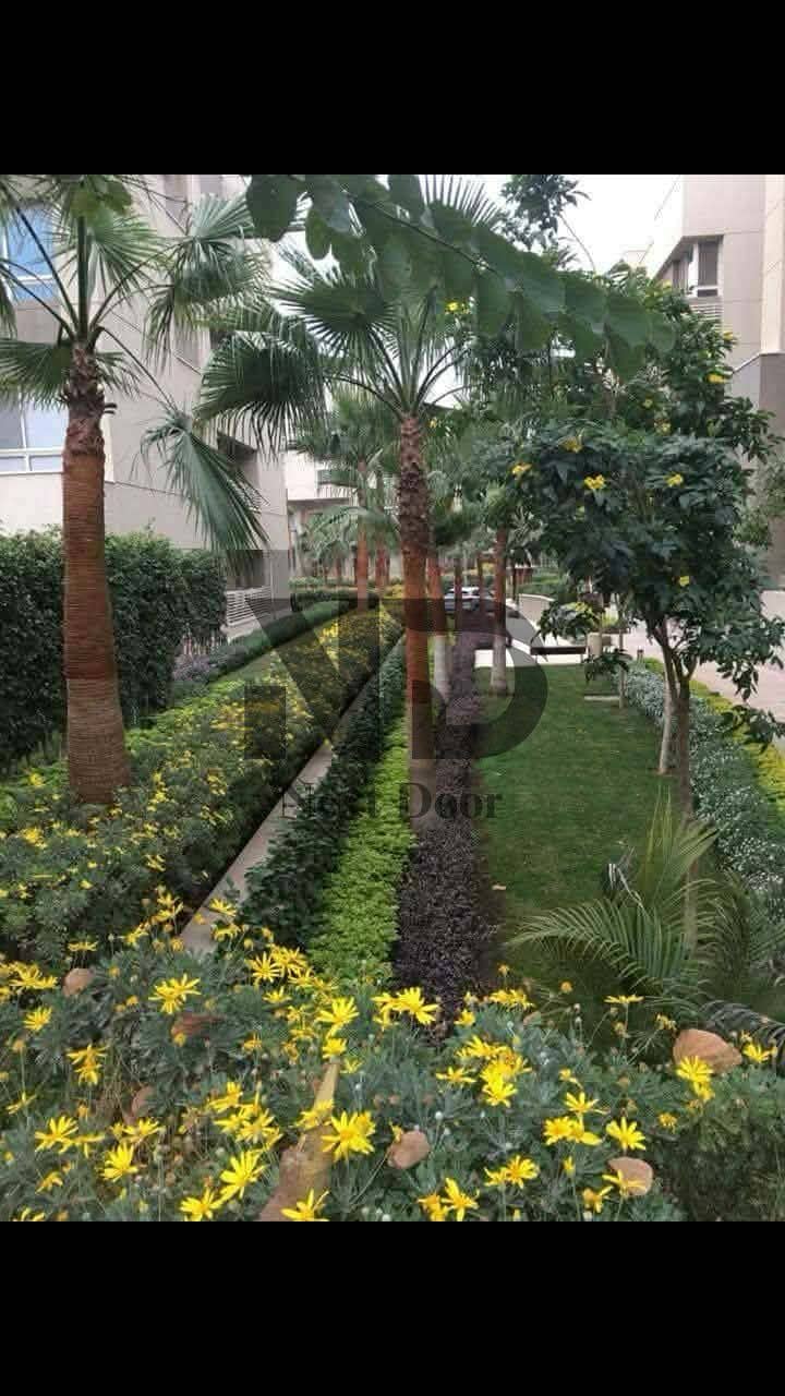 2 508e0bc3-ef06-4f59-8970-7f5a200fb6d2. jpeg