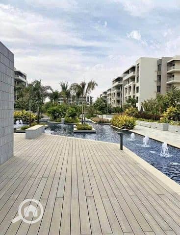 4 556011577_122315085602004075_8109827049434500514_n. jpg