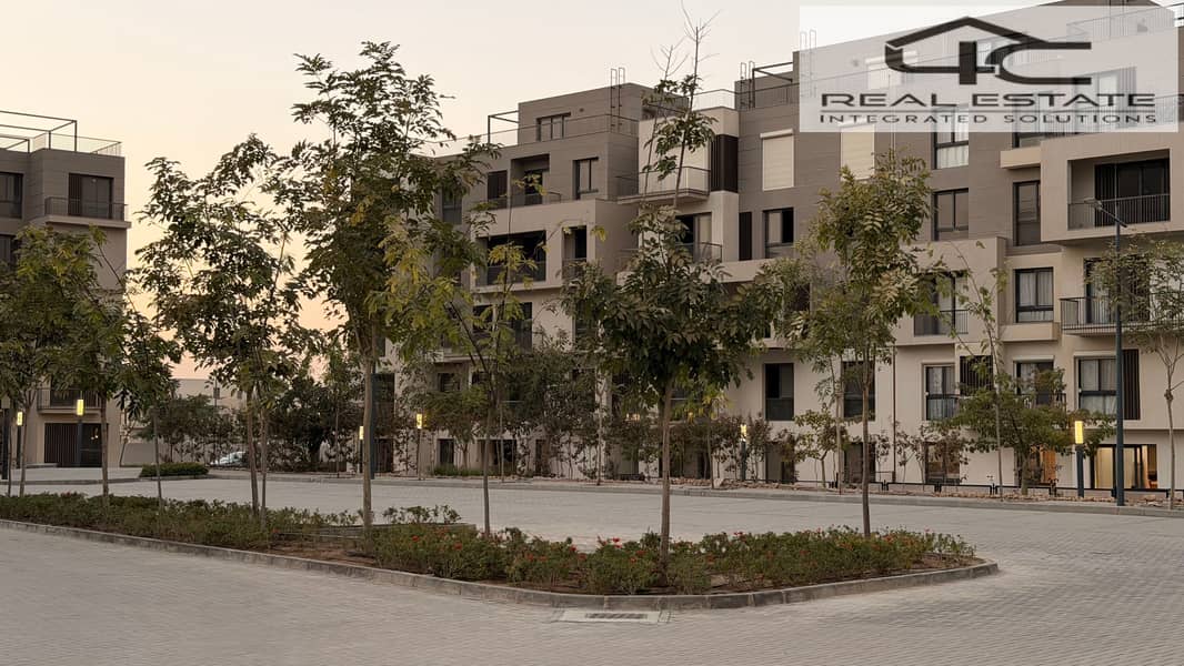 12 2025_12_23_16_55_IMG_1943. JPG