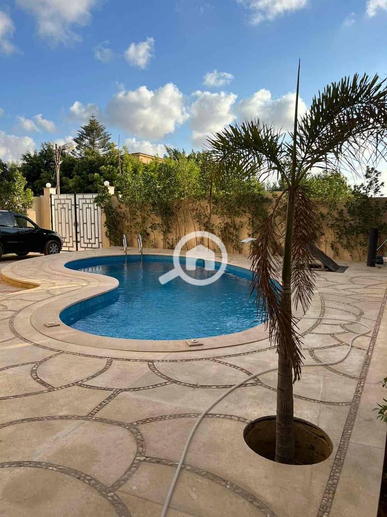 8 6cde375c-3112-4217-8c1c-5bd121667c6e. jpg