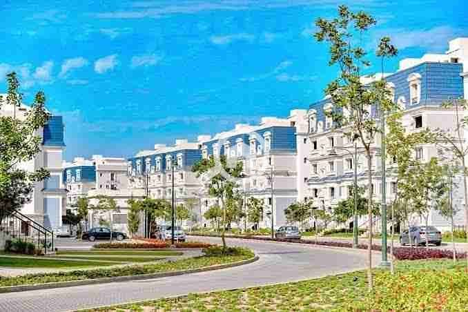 4 images - 2025-08-01T202535.524. jpeg