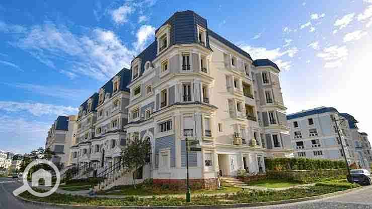 7 images - 2025-08-01T202525.978. jpeg