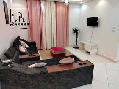 3 Bedroom Flat for Rent in Nasr City, Cairo - I21 (Copy). jpg