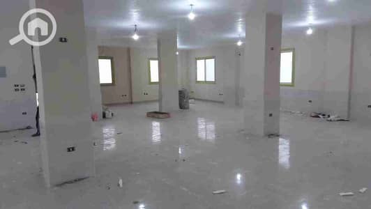 Factory for Rent in New Cairo, Cairo - 1000030341. jpg