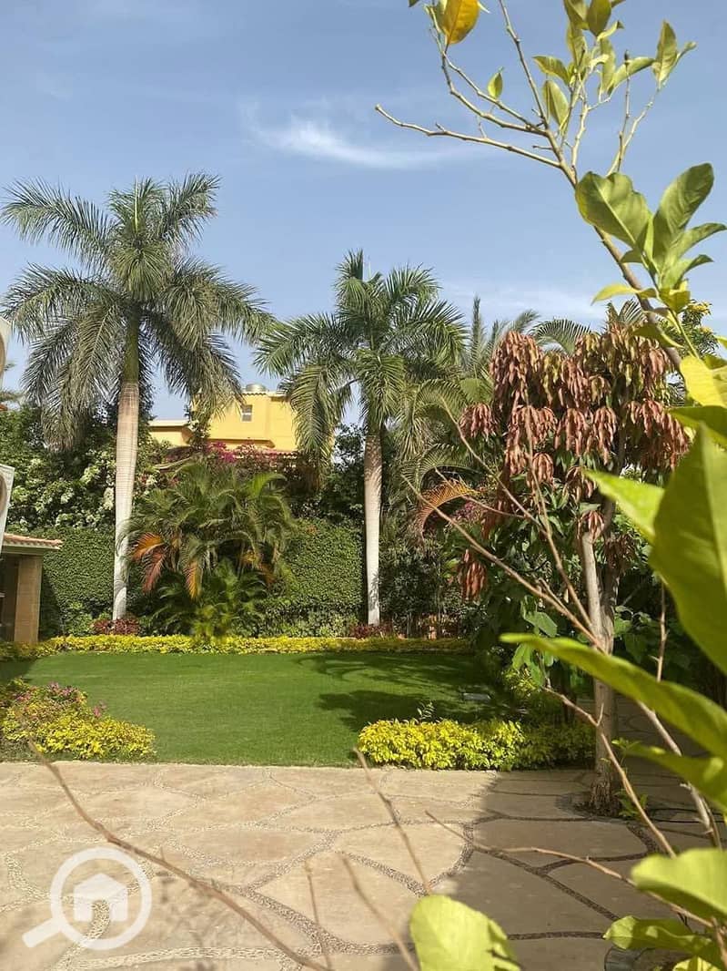 8 600444789_1510589187736319_3340343340939954221_n. jpg