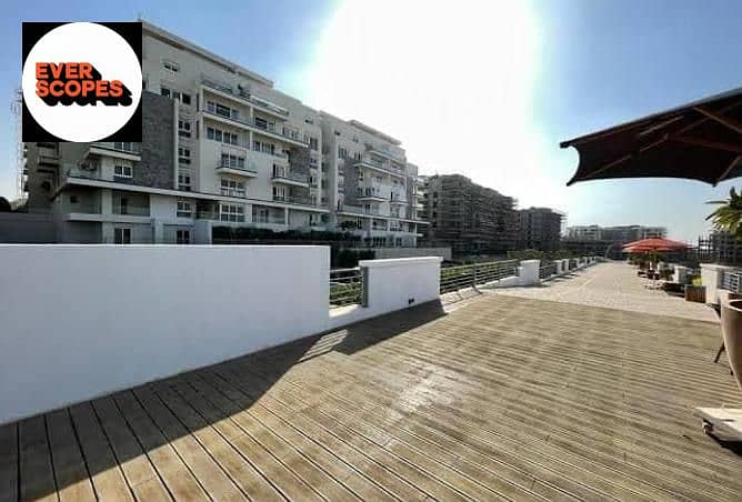 4 3844321-317d3o. jpg