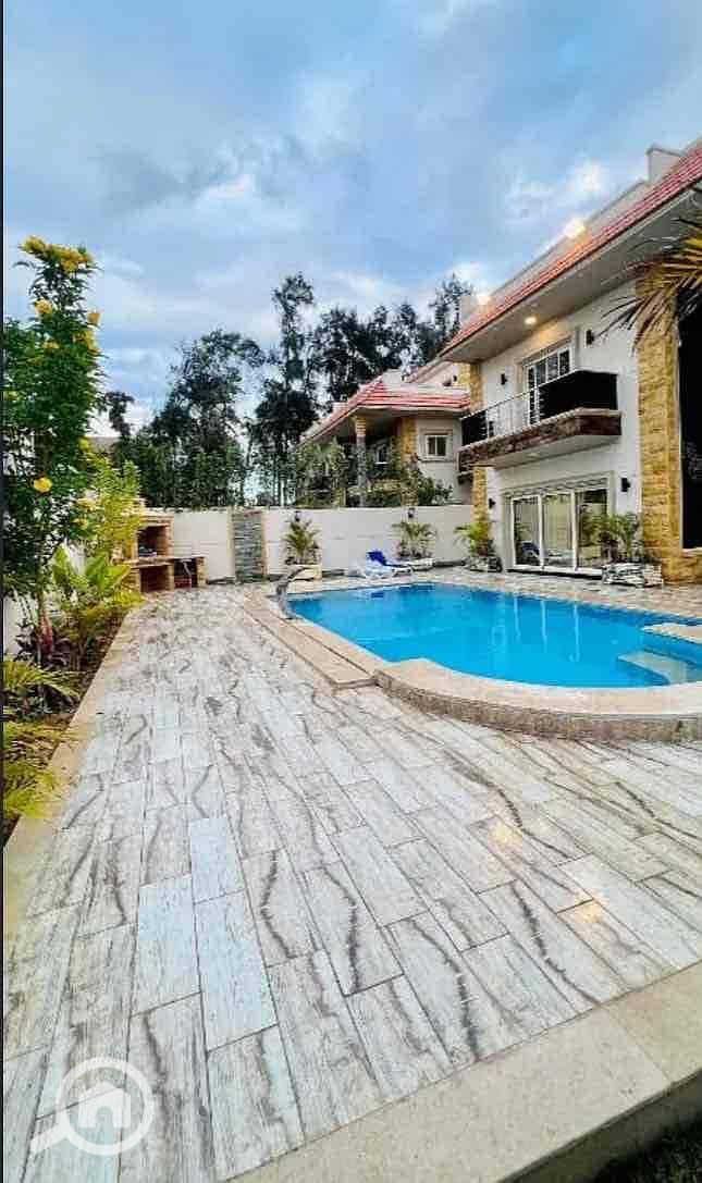 3 effa3750-d3c8-482a-87ee-fa70ac9f9d3a. jpg