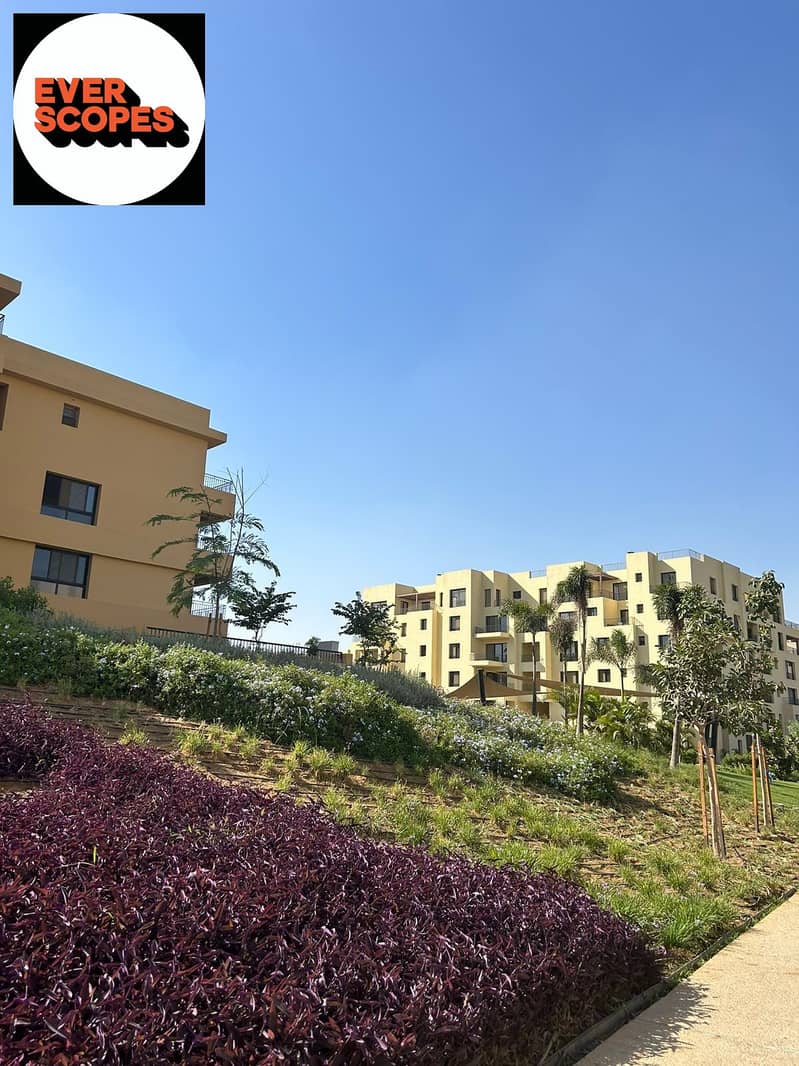 4 WhatsApp Image 2025-11-11 at 17.25. 12 (1). jpeg