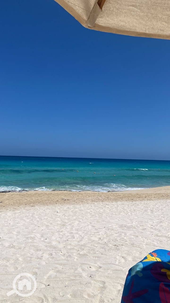 7 photo_2025-08-12_21-34-11. jpg