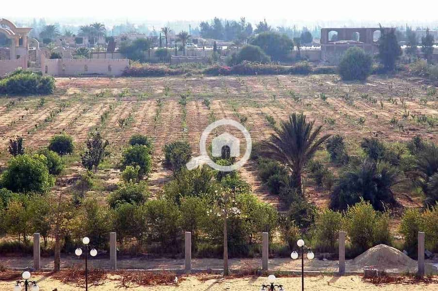 3 IMG-20251224-WA0133. jpg