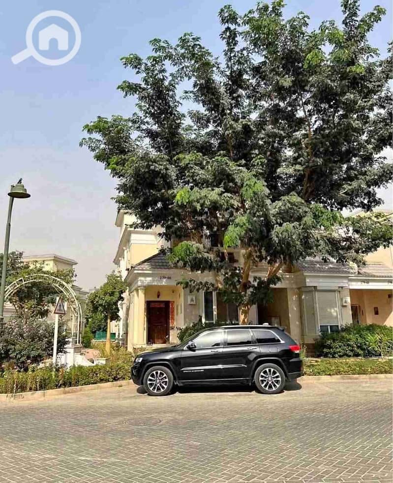 1000383091. jpg 1000383091. jpg