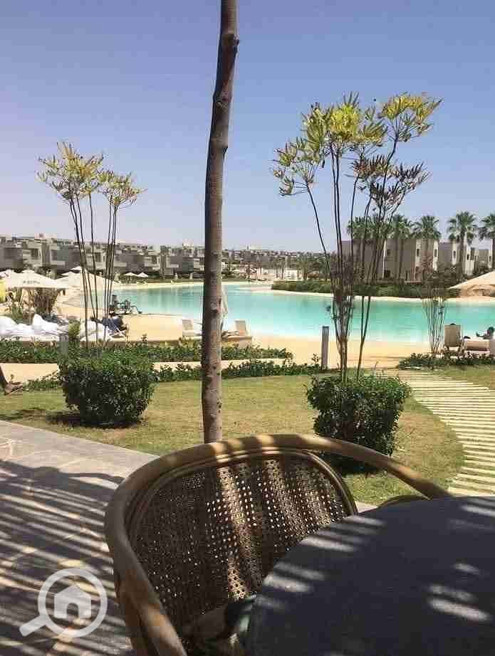 1000263090. jpg 1000263090. jpg