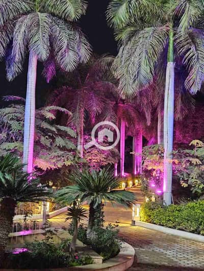 زراعي  للبيع في المنصورية، الجيزة - IMG-20251224-WA0406. jpg