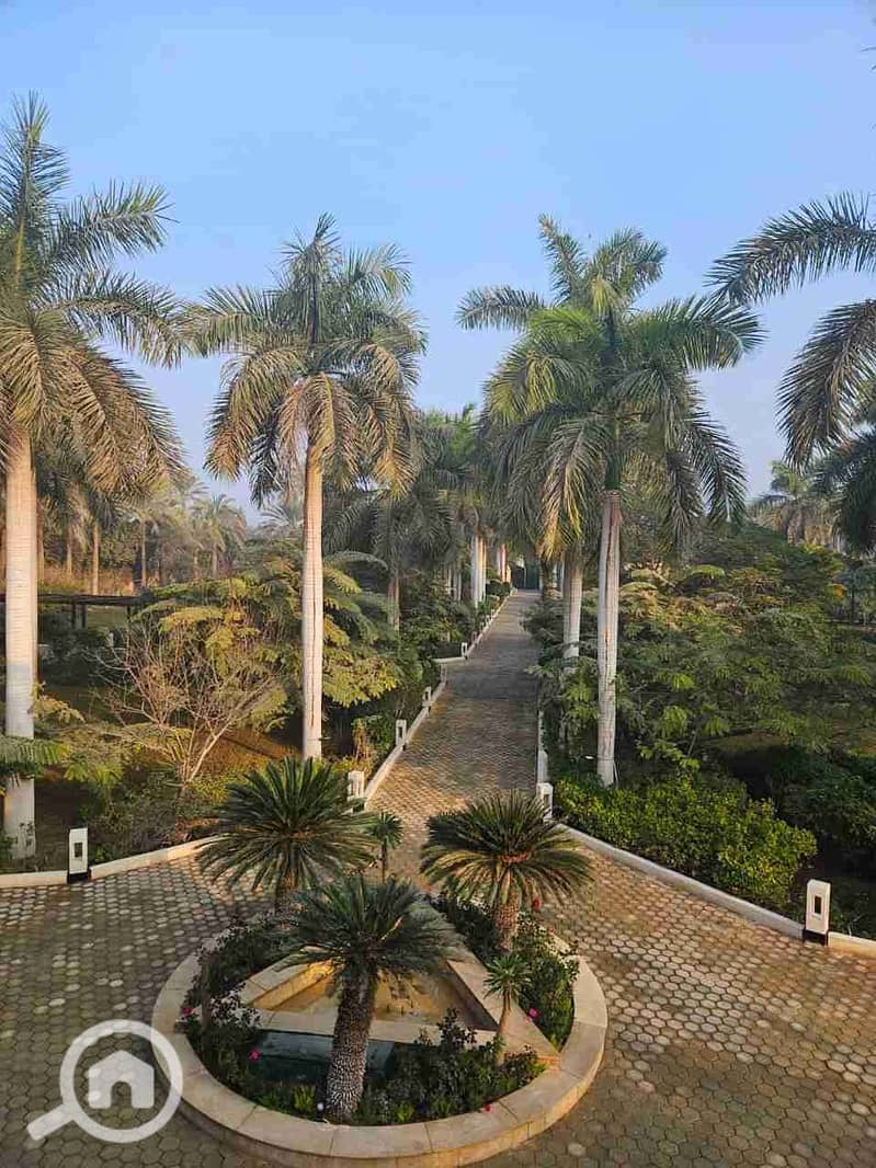 4 IMG-20251224-WA0422. jpg