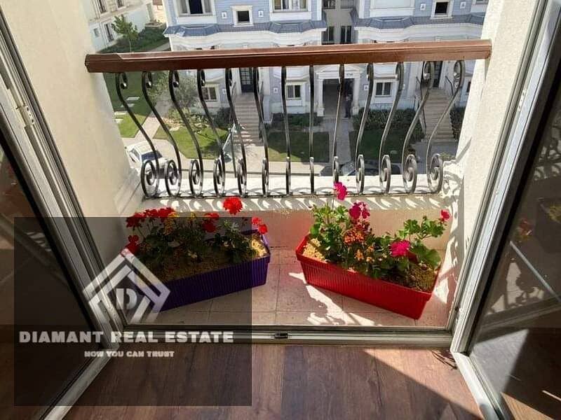 6 238899937_4518838204843759_3905558898739196680_n. jpg