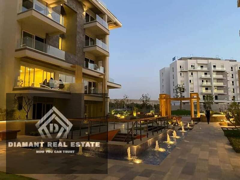 14 244039790_389297539395635_4867678554357574444_n. jpg