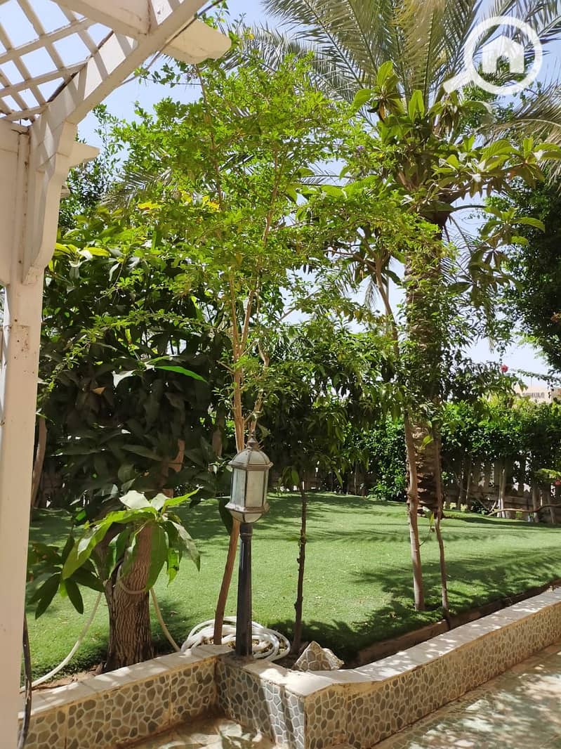 10 IMG-20200420-WA0017. jpg