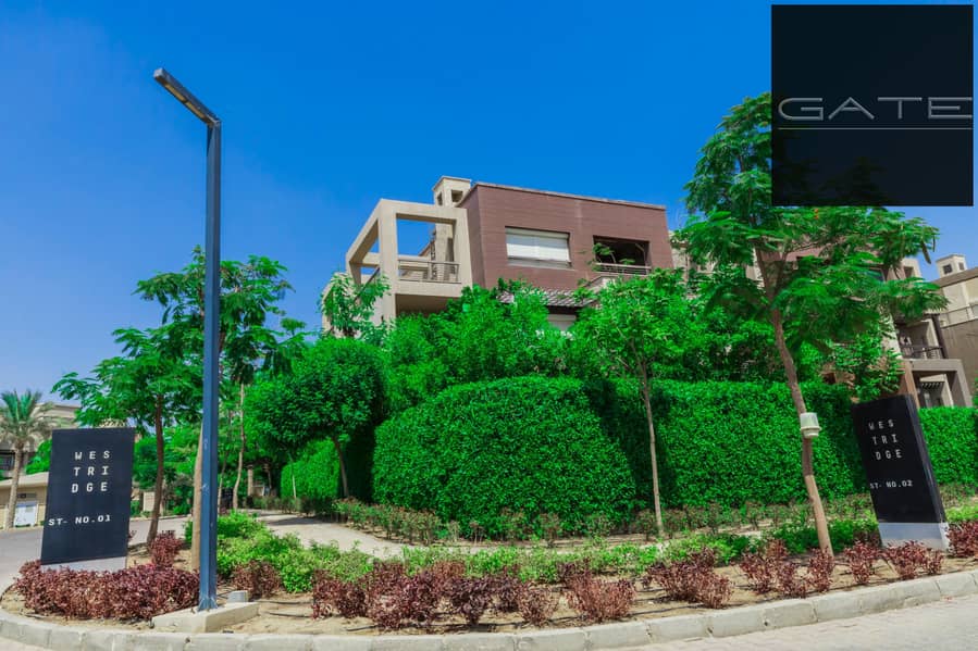 3 IMG-20250126-WA0203. jpg