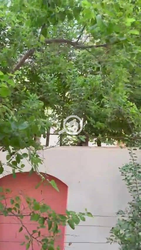 11 WhatsApp Video 2025-12-24 at 6.54. 48 PM_000094. jpg