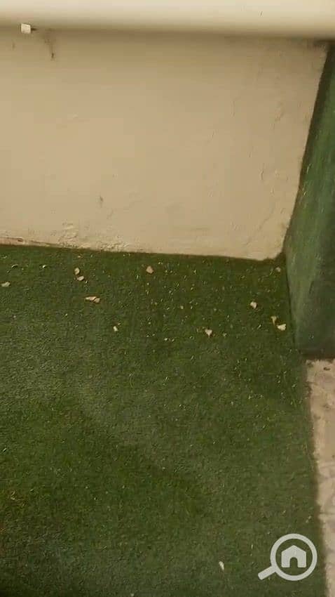 15 WhatsApp Video 2025-12-24 at 6.55. 06 PM_000007. jpg